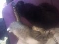 WP_20160109_001.jpg